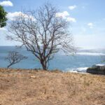 Oceanfront of the lot