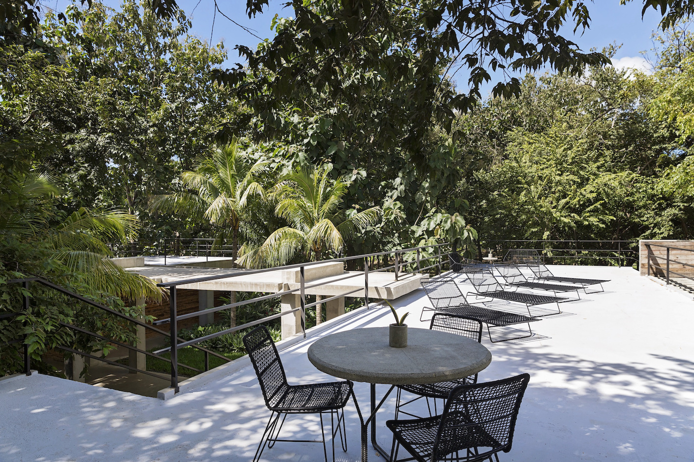 Roof_Top_View_2