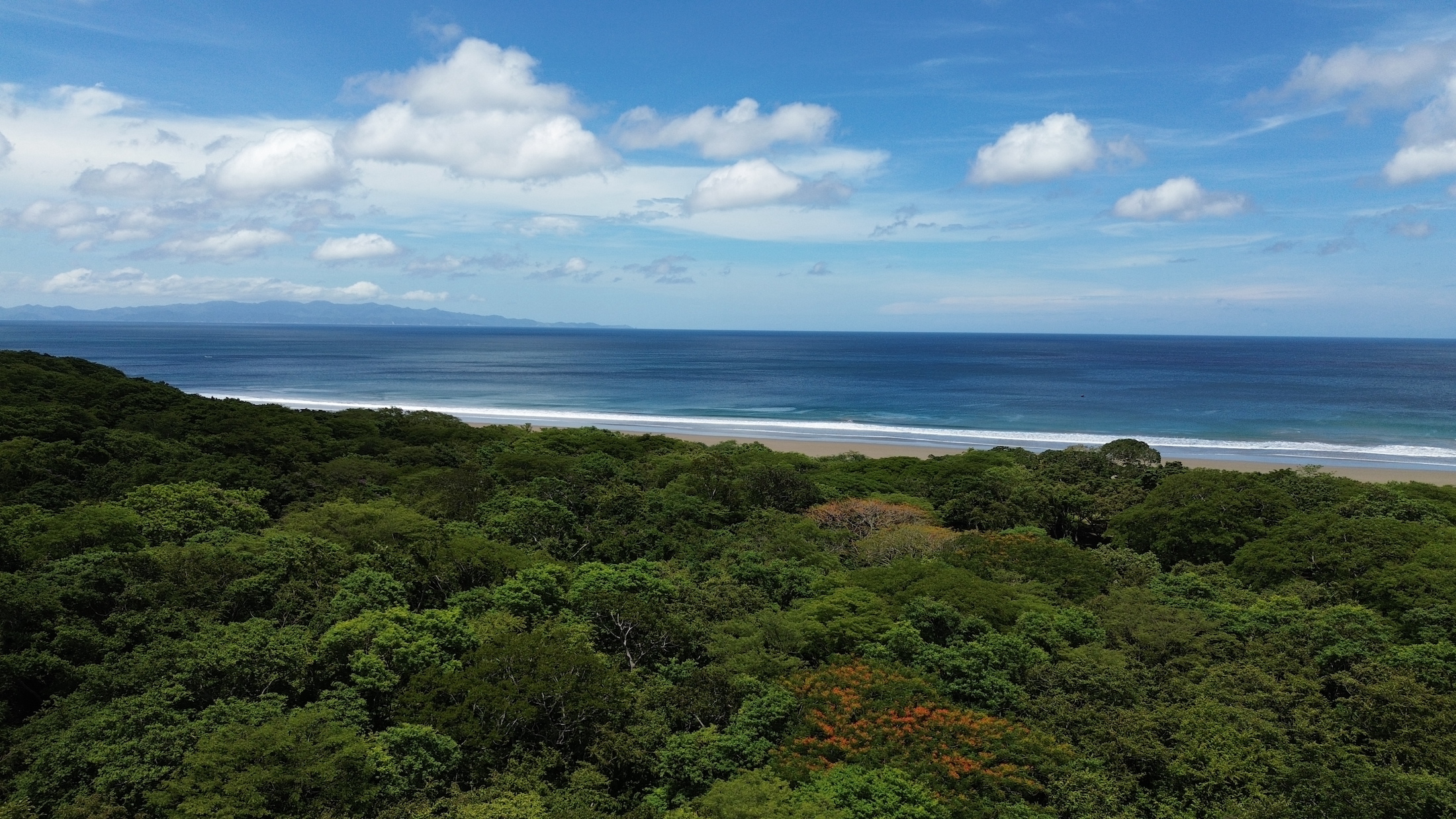 Playa Yankee Beachside Lots — Walk to Beach