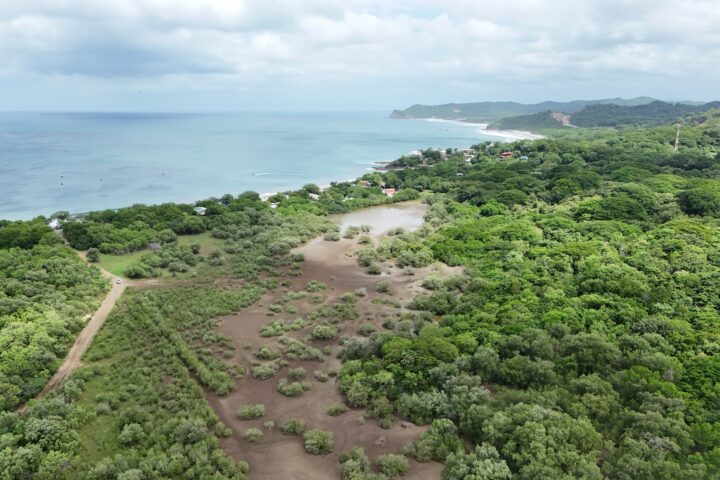 Titled Commercial lots in Gigante