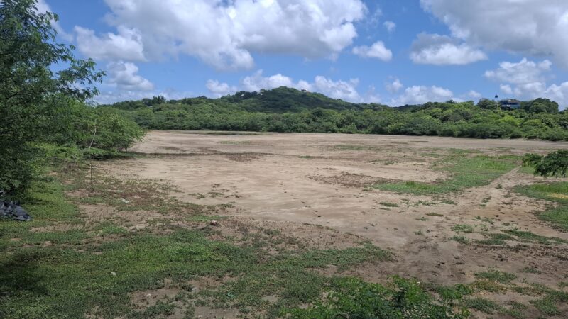 Beachside Titled Commercial lots in Guasacate