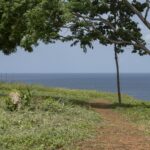 A stunning view of Playa Santana