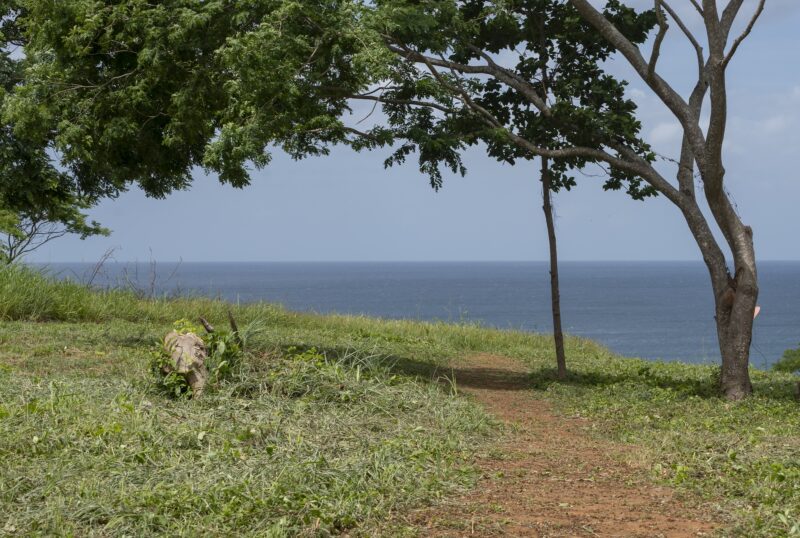 A stunning view of Playa Santana