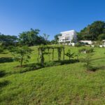 land and fruit trees