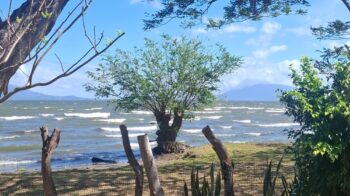 Lakefront Property with Commercial Potential with fenced shoreline, tree by the water, and distant mountains.