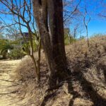 road to lot in playa madera oceanview lot