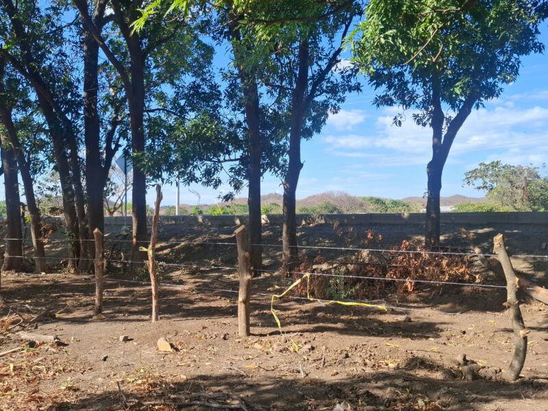 lot with access to coastal road