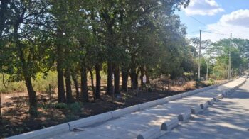 Corner acreage property with mango trees