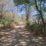 Exclusive Beachside Lots Near Surf