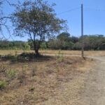 Exclusive Beachside Lots Near Surf