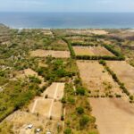 Exclusive Beachside Lots Near Surf