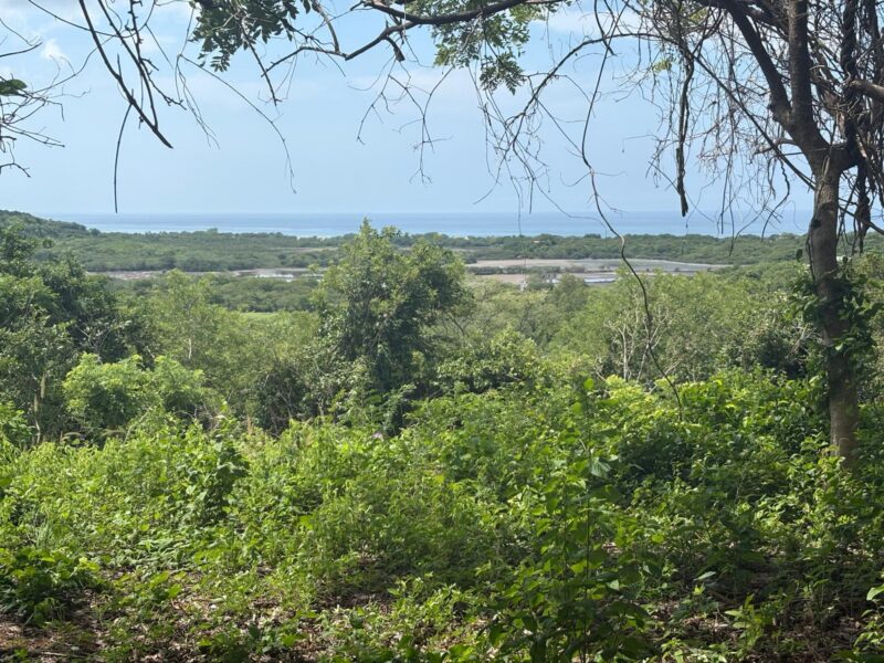 Stunning Popoyo Hilltop Views