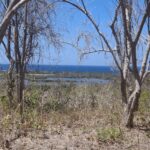 Stunning Popoyo Hilltop Views