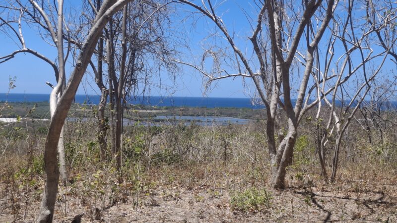 Stunning Popoyo Hilltop Views