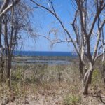 Stunning Popoyo Hilltop Views