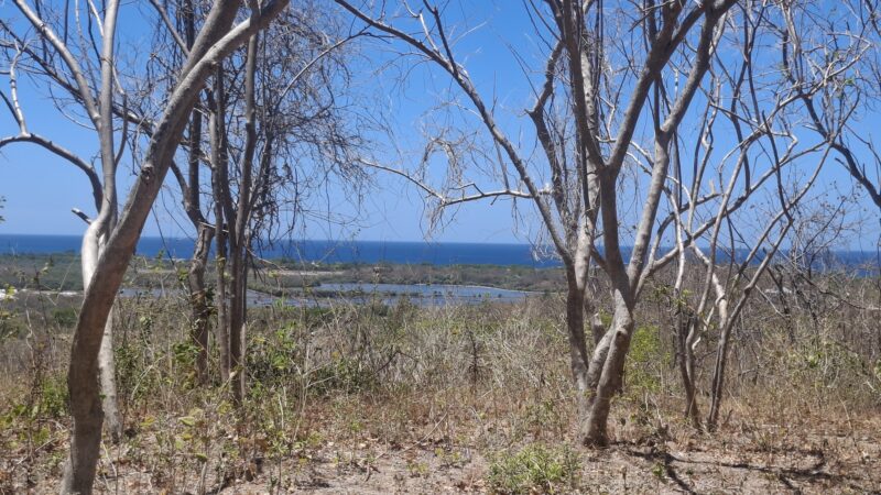 Stunning Popoyo Hilltop Views