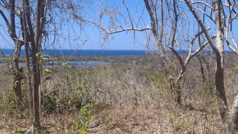 Stunning Popoyo Hilltop Views