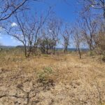 Hilltop lot with ocean views