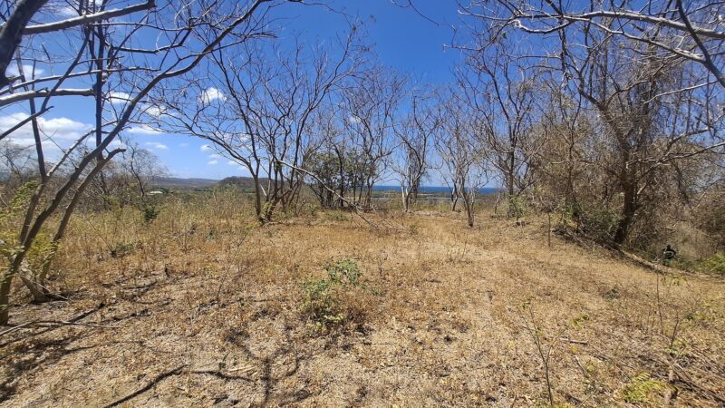 Hilltop lot with ocean views