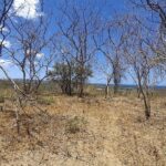 Flat hilltop property with views