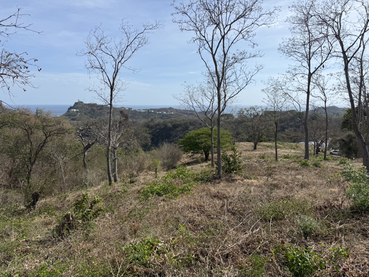 Panoramic Views near TreeCasa in San Juan Del Sur, Nicaragua