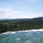 Drone view of the forested coastline and crescent beach