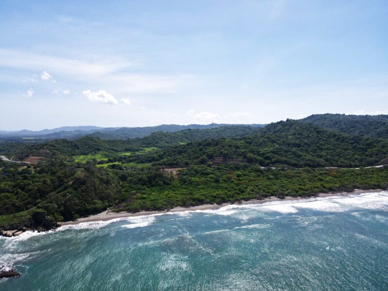Drone view of the forested coastline and crescent beach