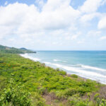 Elevated view across the Pacific beachfront parcel toward the sea