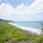 Panorama over rolling forest to the sea