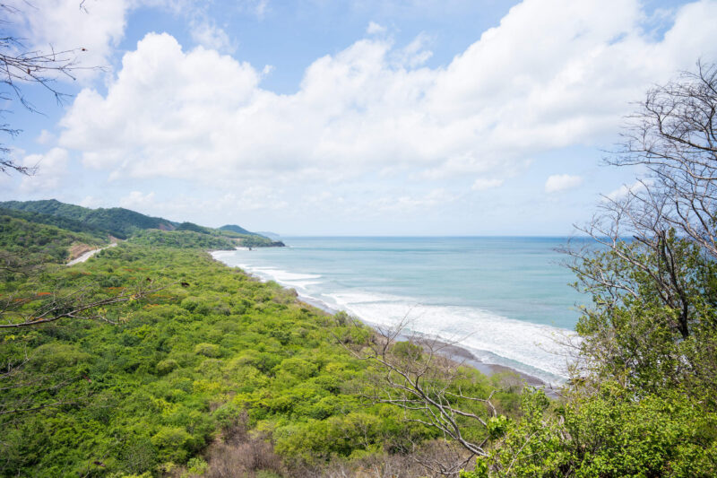 Panorama over rolling forest to the sea
