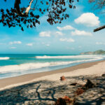 Beach framed by shade trees with a rocky headland