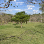 Gated ocean view lot near TreeCasa in El Encanto del Sur