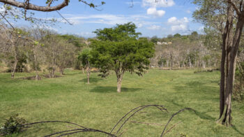 Gated ocean view lot near TreeCasa in El Encanto del Sur