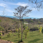 Half acre corner lot at El Encanto del Sur, near TreeCasa