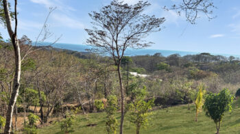 Half acre corner lot at El Encanto del Sur, near TreeCasa