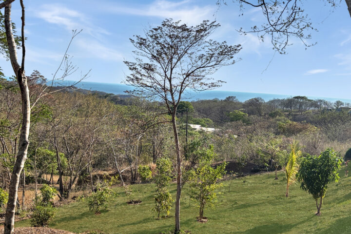 Half acre corner lot at El Encanto del Sur, near TreeCasa