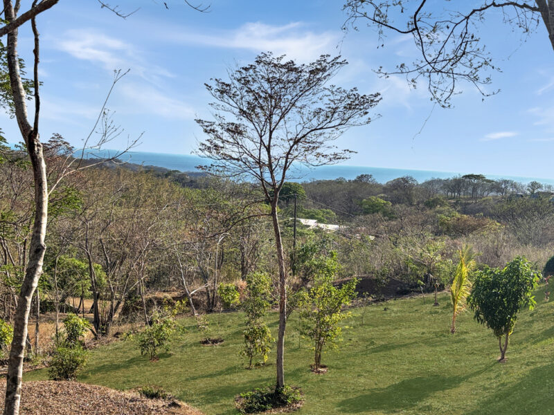 Half acre corner lot at El Encanto del Sur, near TreeCasa