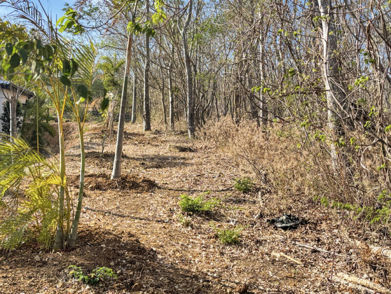Paved access and TreeCasa amenities near the lot