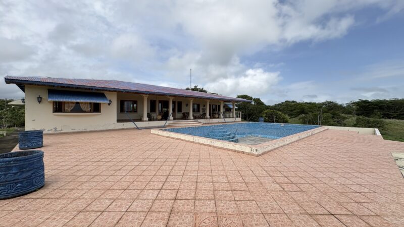 153 acre lakeview farm in Rivas — main house with swimming pool