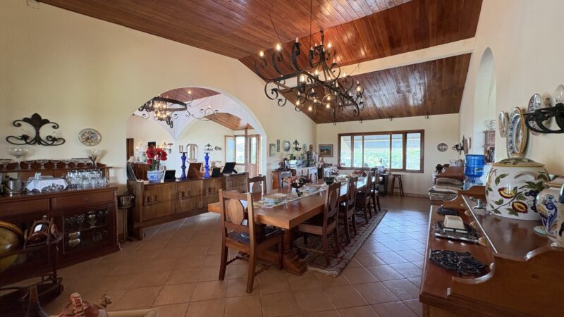 Open dining and living hall under a timber ceiling