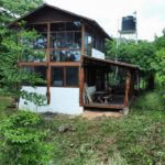 The property set among the tropical forest