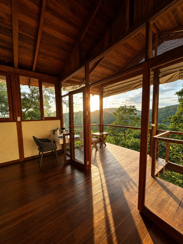 Open living space opening onto the terrace and forest