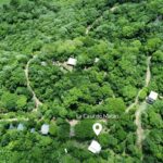Aerial over the forest canopy at the property