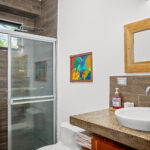 Guest bathroom with a tiled walk-in shower