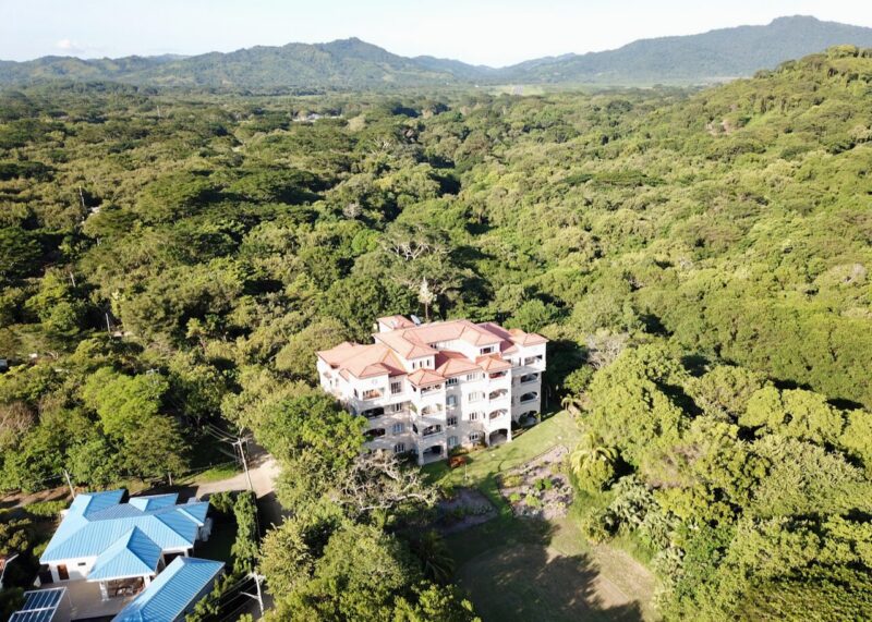 Aerial of the Rio Dulce condominium building set in the jungle
