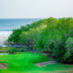 Ocean view over lush foliage toward Playa Colorado