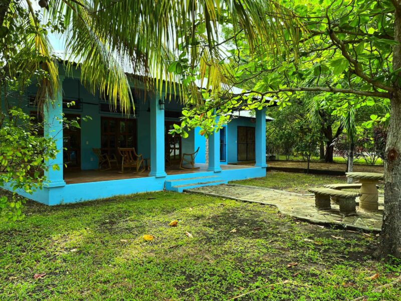 The blue house at the Surf Sanctuary among tropical gardens