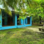 Side view of the house and its lush grounds