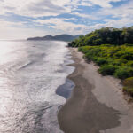 Aerial of the sandy beach frontage and forested headland