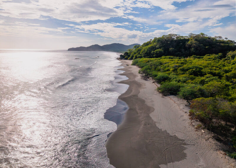 Aerial of the sandy beach frontage and forested headland